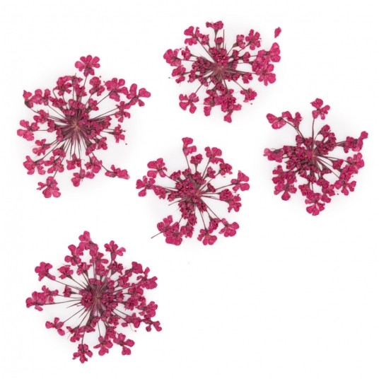 MollyLac ozdoba suszone kwiatki do zdobień paznokci Fuchsia 5szt -zdjęcie numer 1