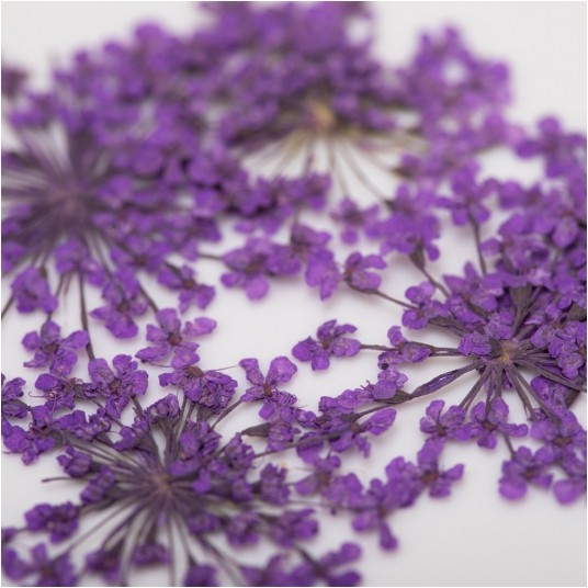 MollyLac ozdoba suszone kwiatki do zdobień paznokci Purple 5szt -zdjęcie numer 2