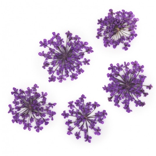 MollyLac ozdoba suszone kwiatki do zdobień paznokci Purple 5szt -zdjęcie numer 1