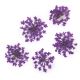 MollyLac ozdoba suszone kwiatki do zdobień paznokci Purple 5szt -zdjęcie numer 1